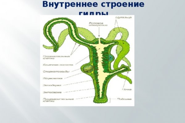 Кракен сайт официальный зеркало