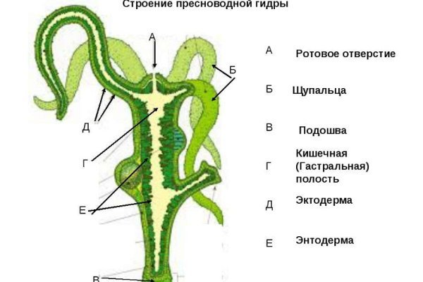 Кракен сайт регистрация